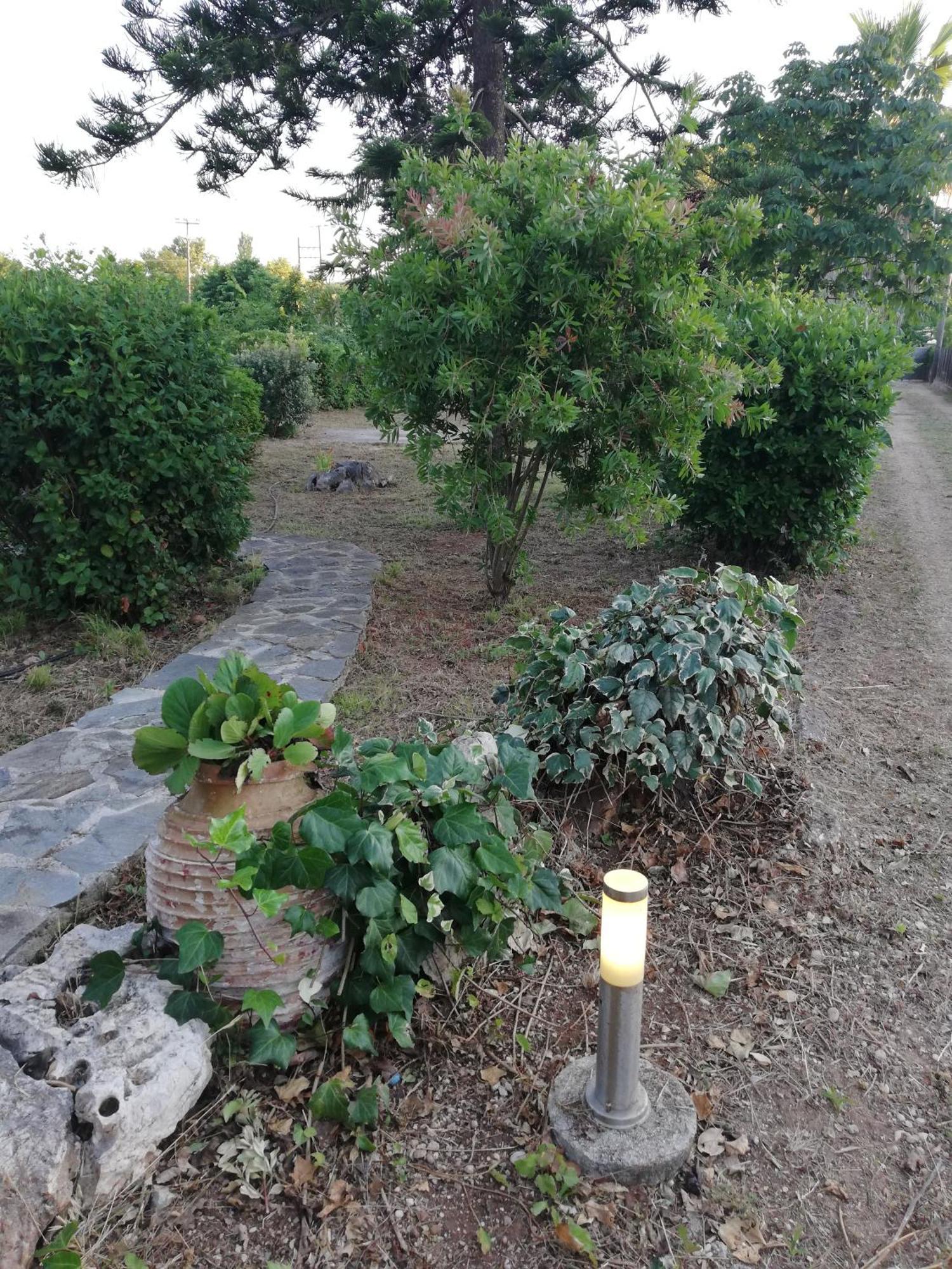 Villa Oneiropagida Превеза Екстериор снимка